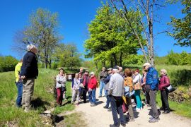 Mont Vaudois (1)