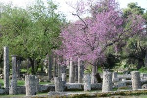 Grèce 10.jpg