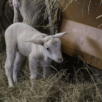 7ème JEUDI - Saison 3