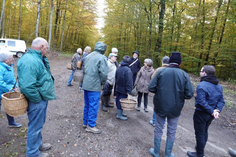 Sortie mycologique Sortie mycologique